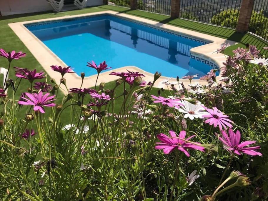 Villa En Frigiliana Con Piscina Y Jacuzzi Exterior photo